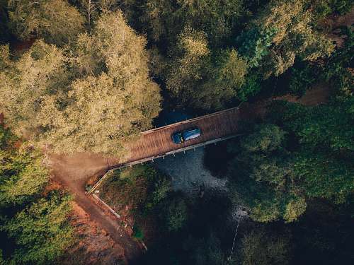 bridge aerial photo of blue car crossing bridge forest